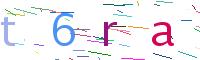 Verify Code